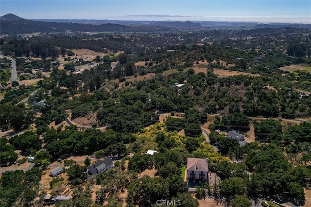 1385 Corberosa Dr, Arroyo Grande, CA 93420 - drone / aerial view