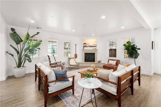 living room featuring wood-type flooring