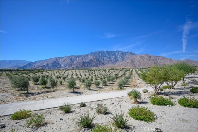265 Mustang Ln, Palm Springs, CA 92262 - photo 27
