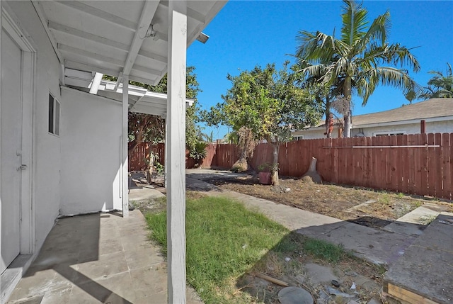 view of yard featuring a patio area