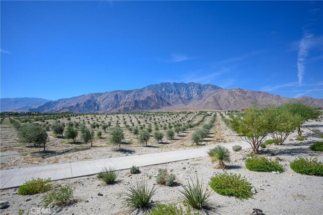 283 Mustang Ln, Palm Springs, CA 92262 - photo 29