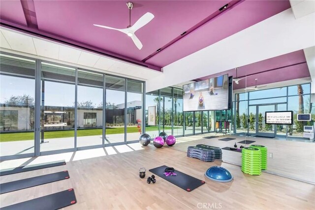 gym with floor to ceiling windows, hardwood / wood-style floors, and ceiling fan