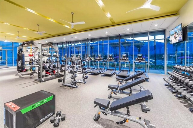 workout area with expansive windows and ceiling fan