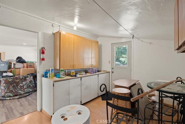 kitchen with light countertops and light wood-style flooring