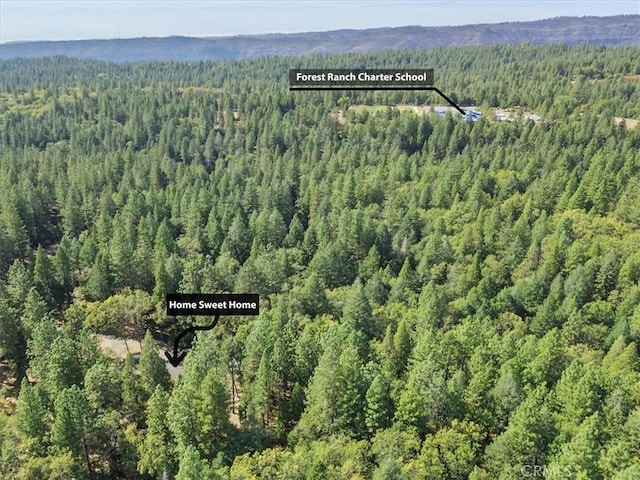 bird's eye view with a view of trees