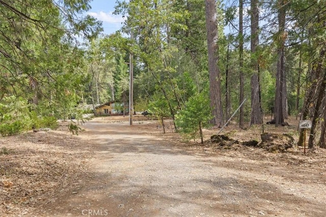 view of street featuring driveway and a wooded view