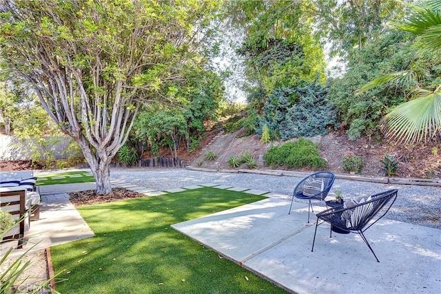 view of yard with a patio