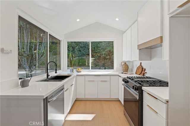 kitchen with a healthy amount of sunlight, appliances with stainless steel finishes, and vaulted ceiling