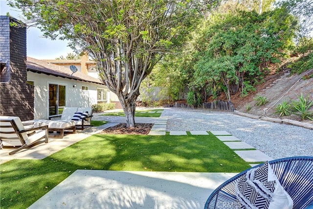 view of yard featuring a patio area