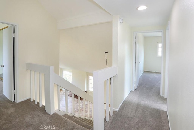 hallway with dark colored carpet