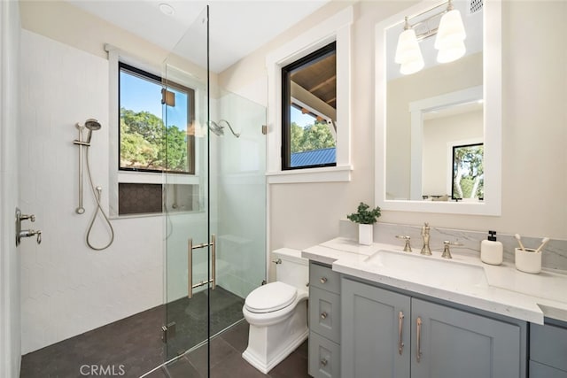 bathroom featuring vanity, a shower with shower door, plenty of natural light, and toilet