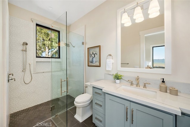 bathroom with vanity, plenty of natural light, toilet, and a shower with shower door