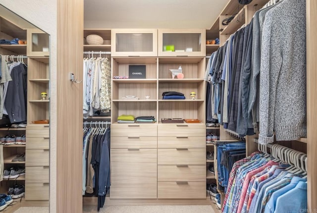 view of spacious closet