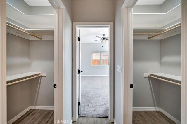 walk in closet featuring wood-type flooring and ceiling fan