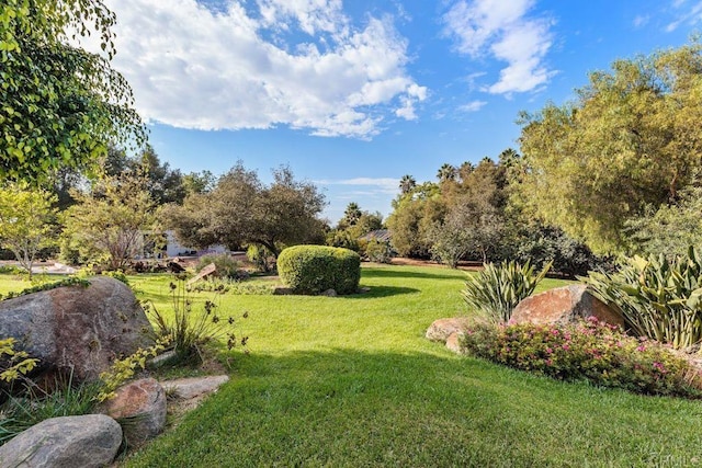 view of home's community featuring a yard