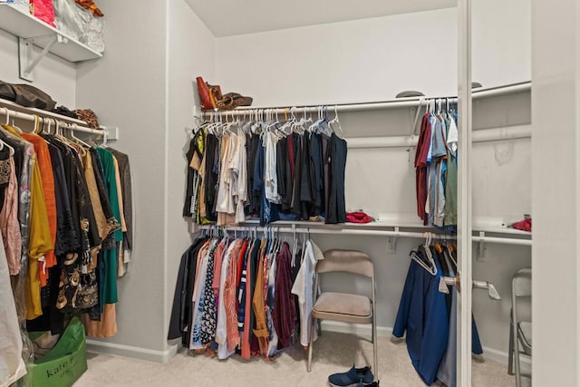 spacious closet with light carpet