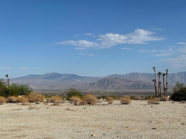 Listing photo 3 for 0 Ironwood Ln, Borrego Springs CA 92004