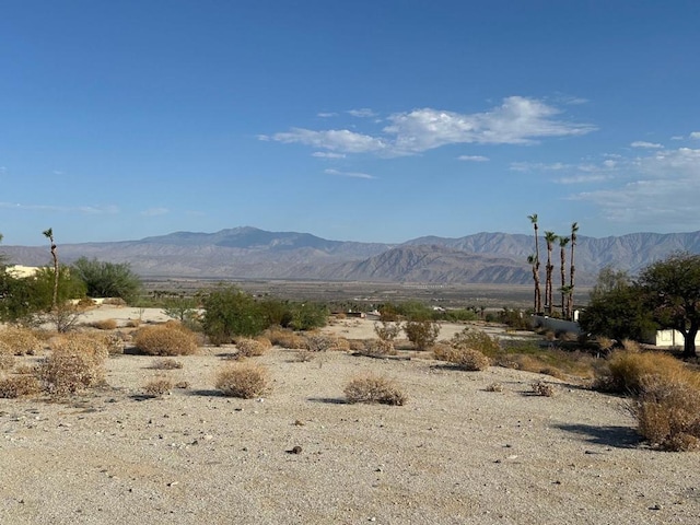 0 Ironwood Ln, Borrego Springs CA, 92004 land for sale