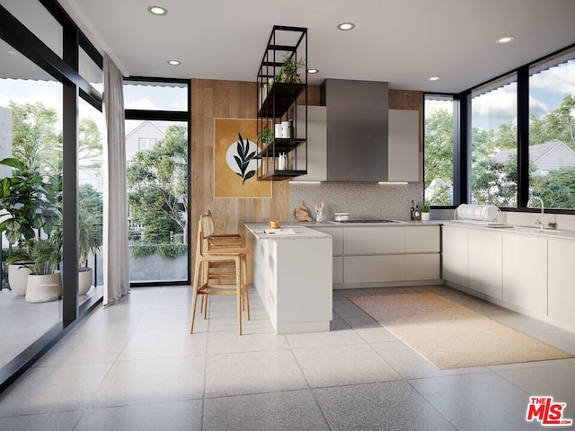 kitchen with backsplash, sink, plenty of natural light, and white cabinetry