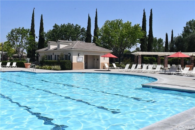 view of pool with a patio area