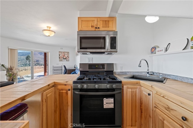 kitchen with wood counters, sink, and stainless steel appliances