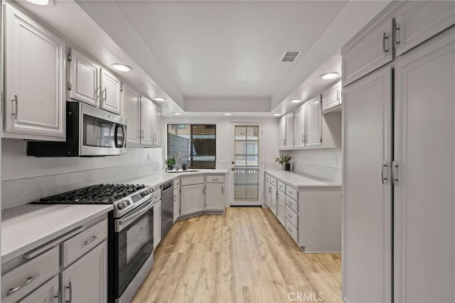 kitchen featuring sink, a tray ceiling, stainless steel appliances, and light hardwood / wood-style floors