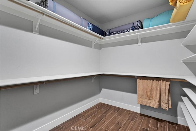 walk in closet with dark hardwood / wood-style flooring