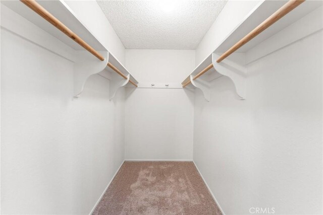 spacious closet with light colored carpet