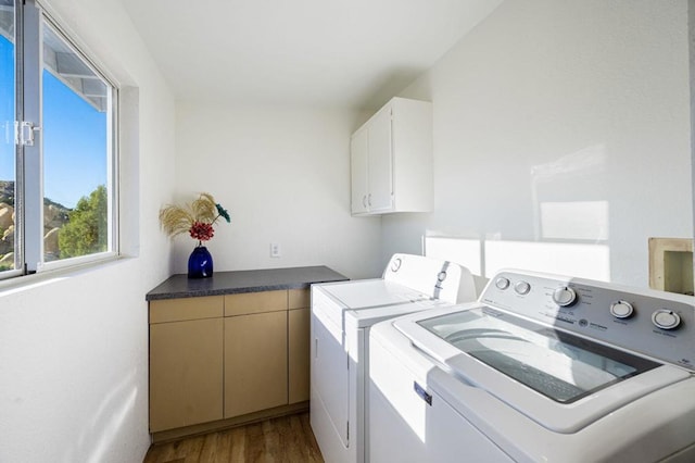 laundry area with cabinets, hardwood / wood-style flooring, and washing machine and clothes dryer