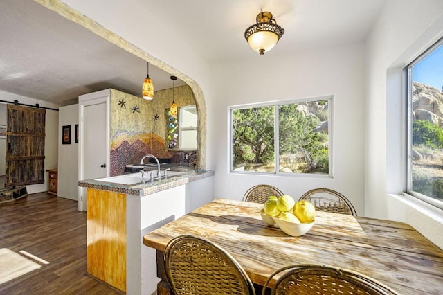 kitchen featuring a wealth of natural light, kitchen peninsula, dark hardwood / wood-style floors, and a barn door