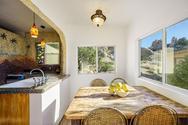 dining room featuring plenty of natural light and hardwood / wood-style floors