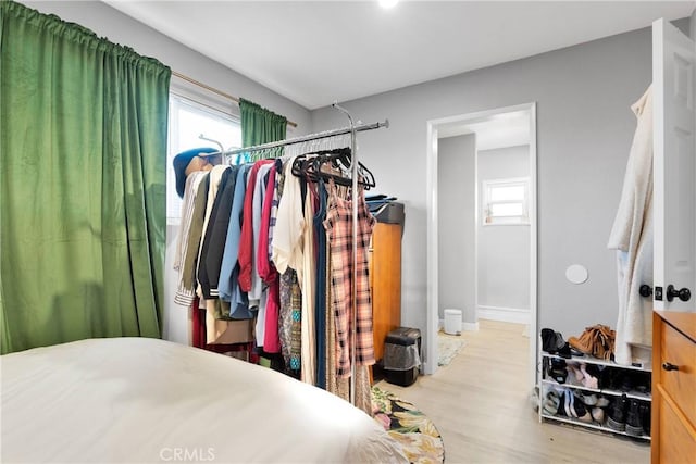 spacious closet with light wood-type flooring