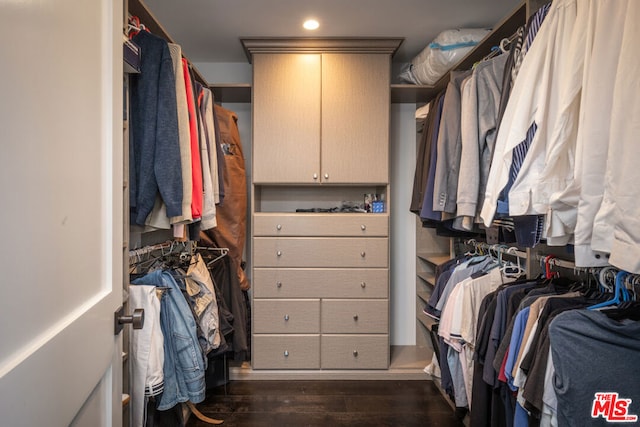 walk in closet featuring dark hardwood / wood-style floors