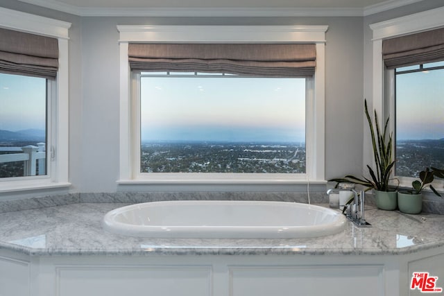 bathroom with a bathtub and crown molding