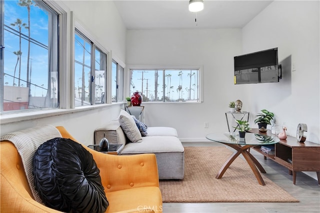 living room with light hardwood / wood-style flooring