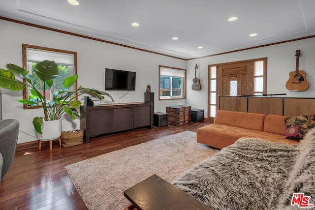 living room with dark hardwood / wood-style flooring, a wealth of natural light, and ornamental molding