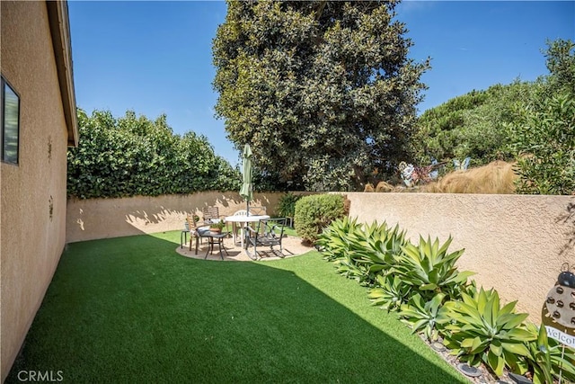 view of yard with a patio