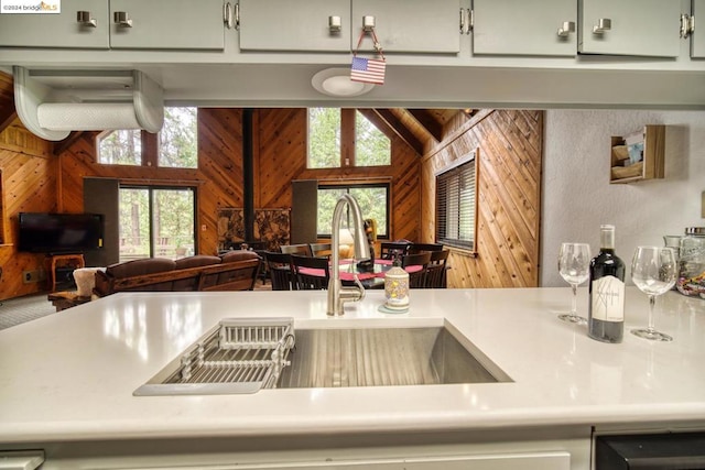 kitchen featuring wooden walls and a healthy amount of sunlight