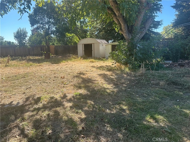 view of yard featuring a shed