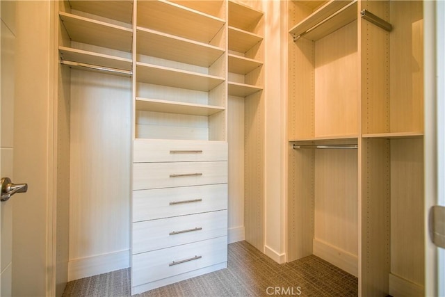 view of spacious closet