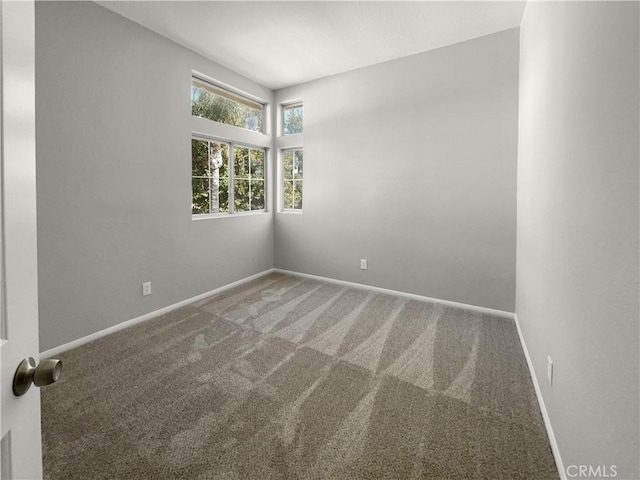 unfurnished room featuring carpet flooring