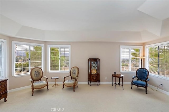 sitting room featuring light colored carpet and a tray ceiling