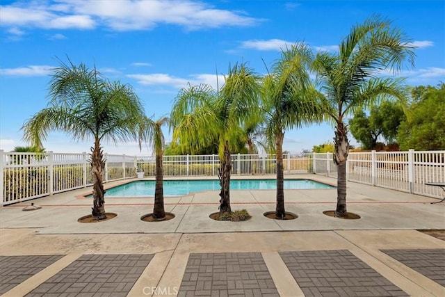 view of pool featuring a patio area