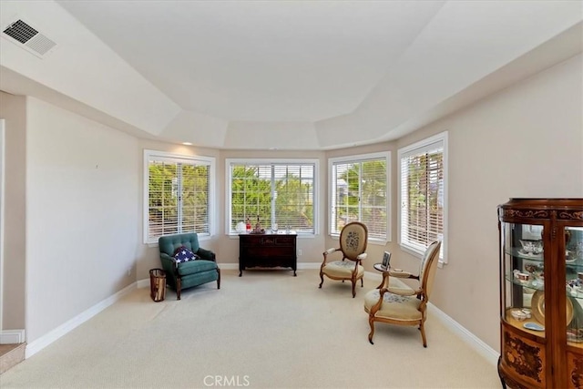 living area with carpet floors and a tray ceiling