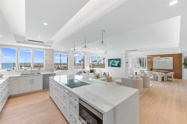 kitchen with hanging light fixtures, stainless steel appliances, a center island, a tray ceiling, and white cabinets