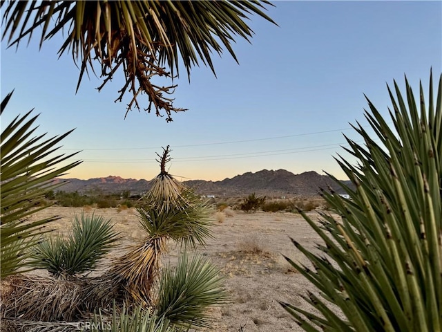 5858 Neptune Rd, Joshua Tree CA, 92252 land for sale