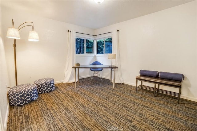 miscellaneous room with dark carpet