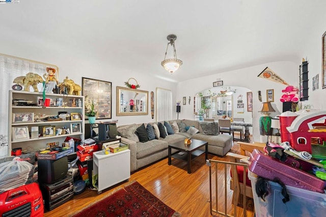 living room with wood-type flooring