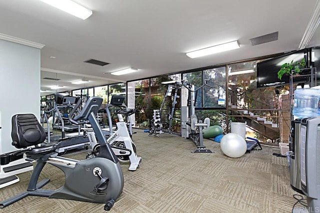 gym with expansive windows, crown molding, and light colored carpet