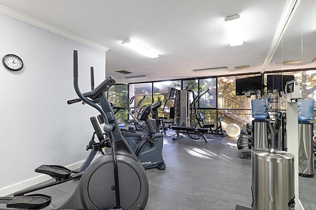 workout area with crown molding and expansive windows